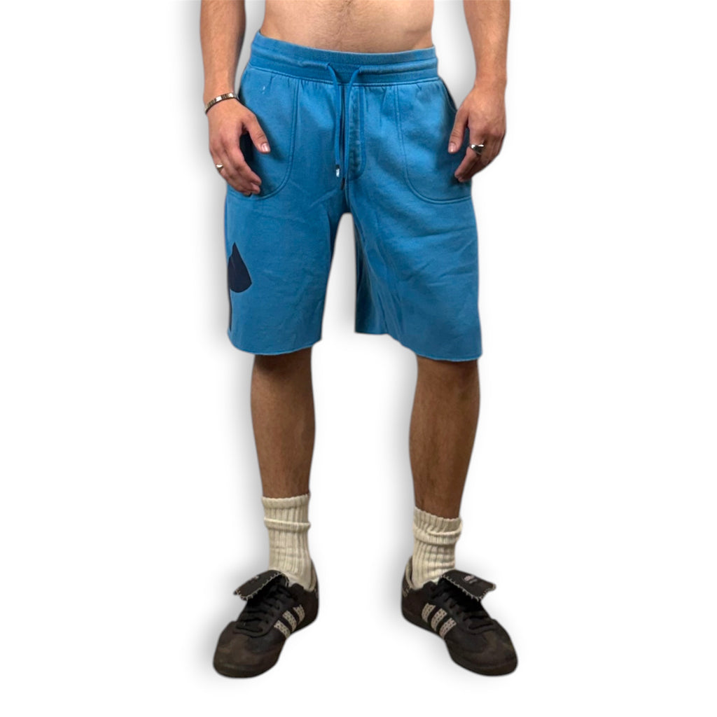 UNDRARMR 10" SHORTS